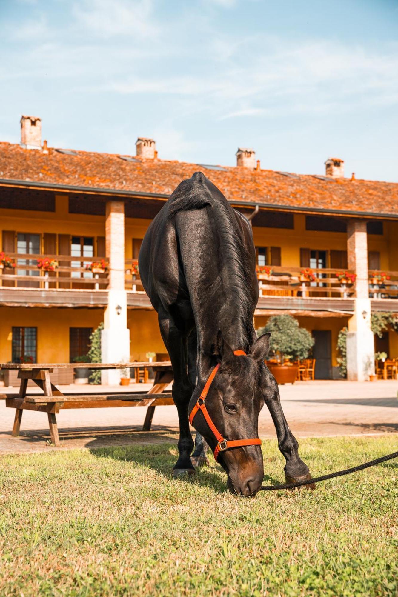 Agriturismo Bassanella Villa Treviglio Exterior foto